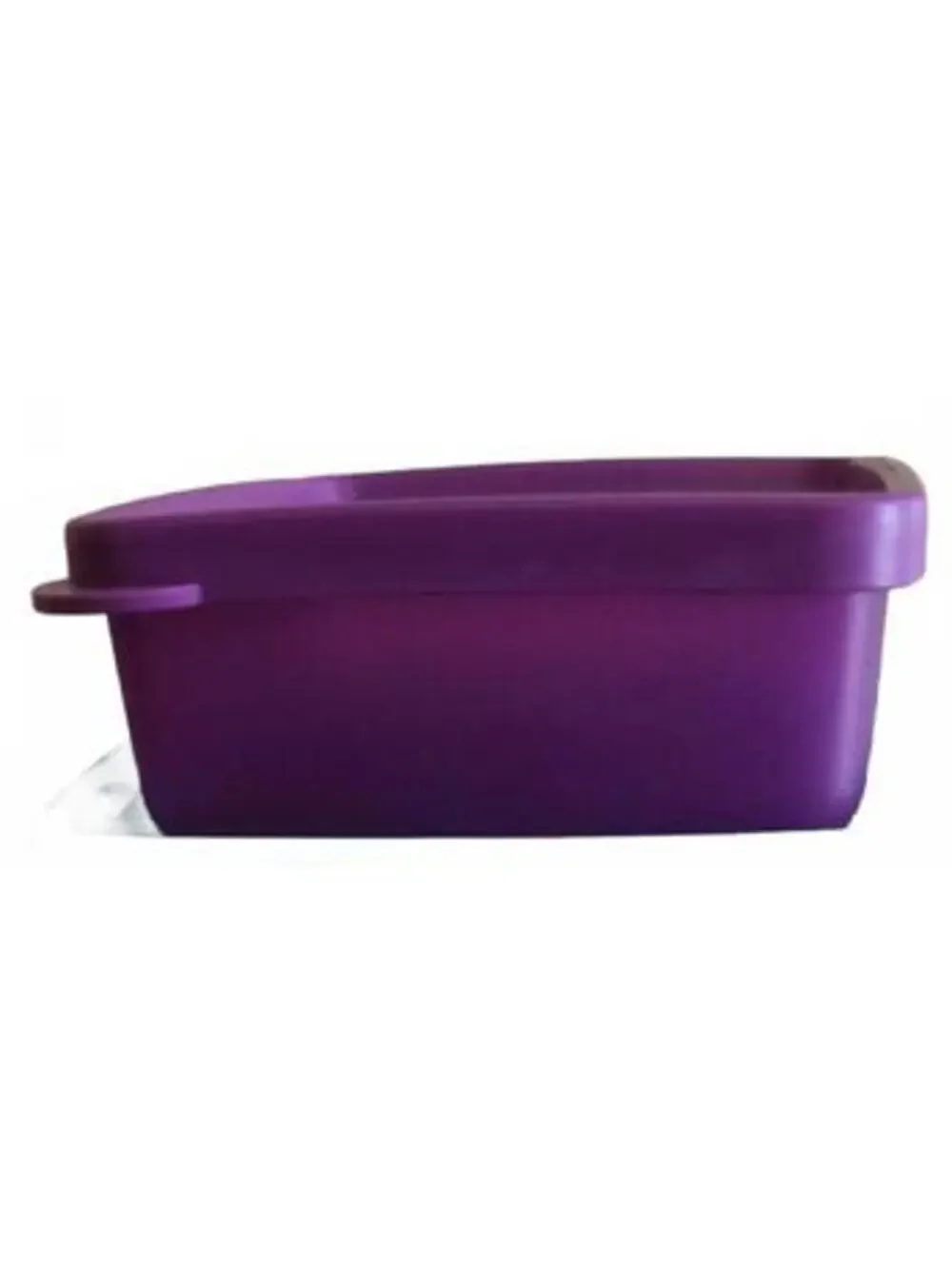 Tupperware purple square